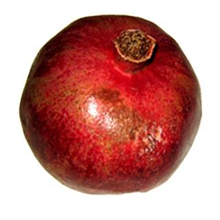 Granatapfel